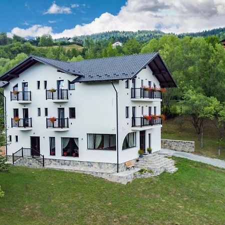 Linistea Codrului Hotel Borsa  Exterior photo