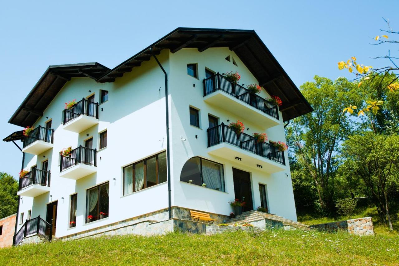 Linistea Codrului Hotel Borsa  Exterior photo