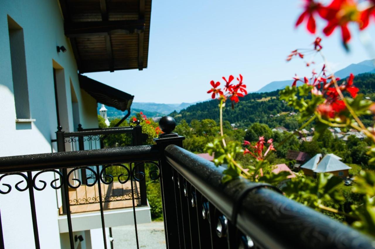 Linistea Codrului Hotel Borsa  Exterior photo