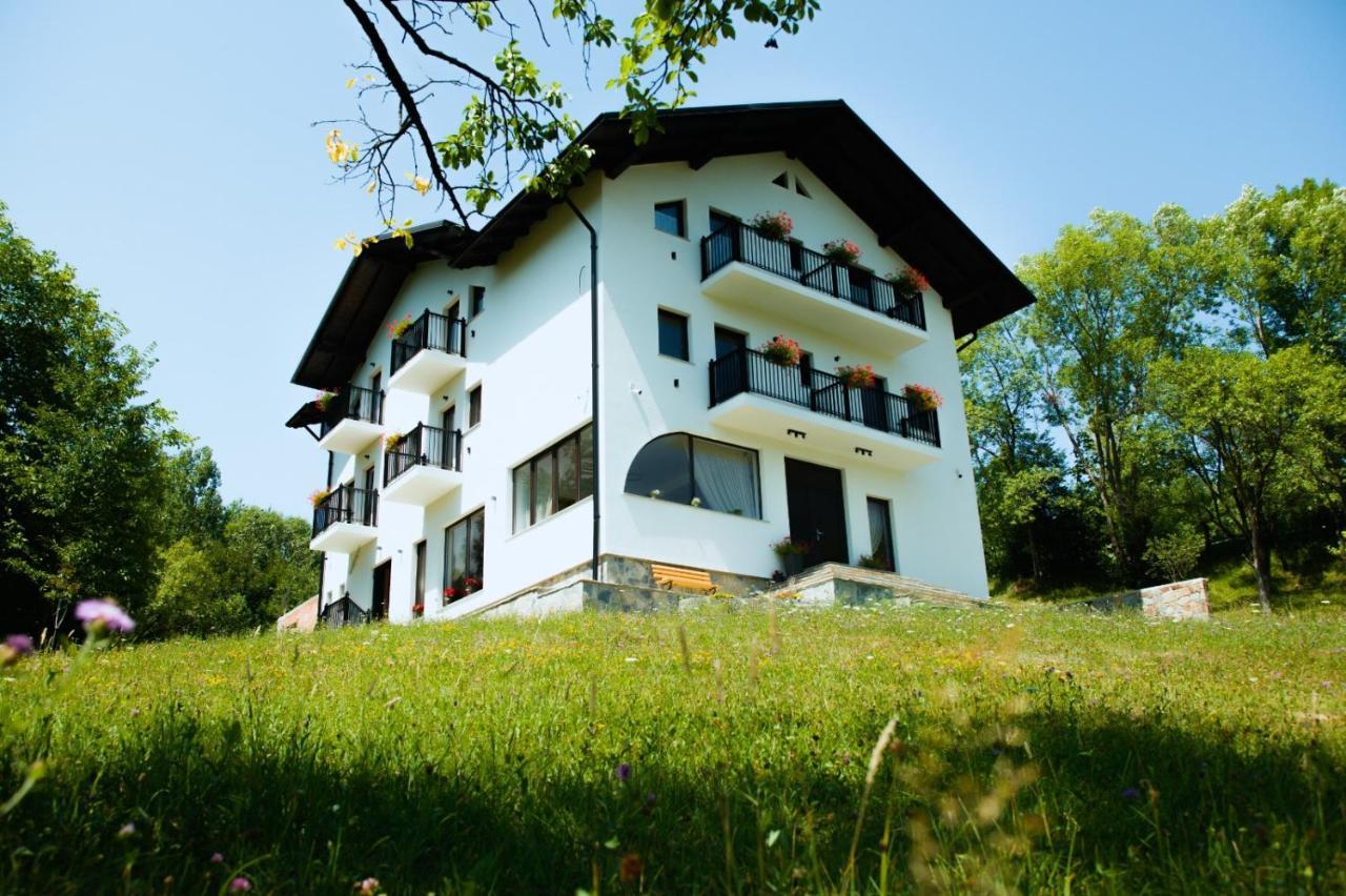 Linistea Codrului Hotel Borsa  Exterior photo