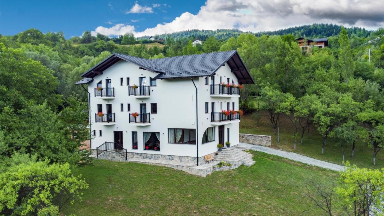 Linistea Codrului Hotel Borsa  Exterior photo