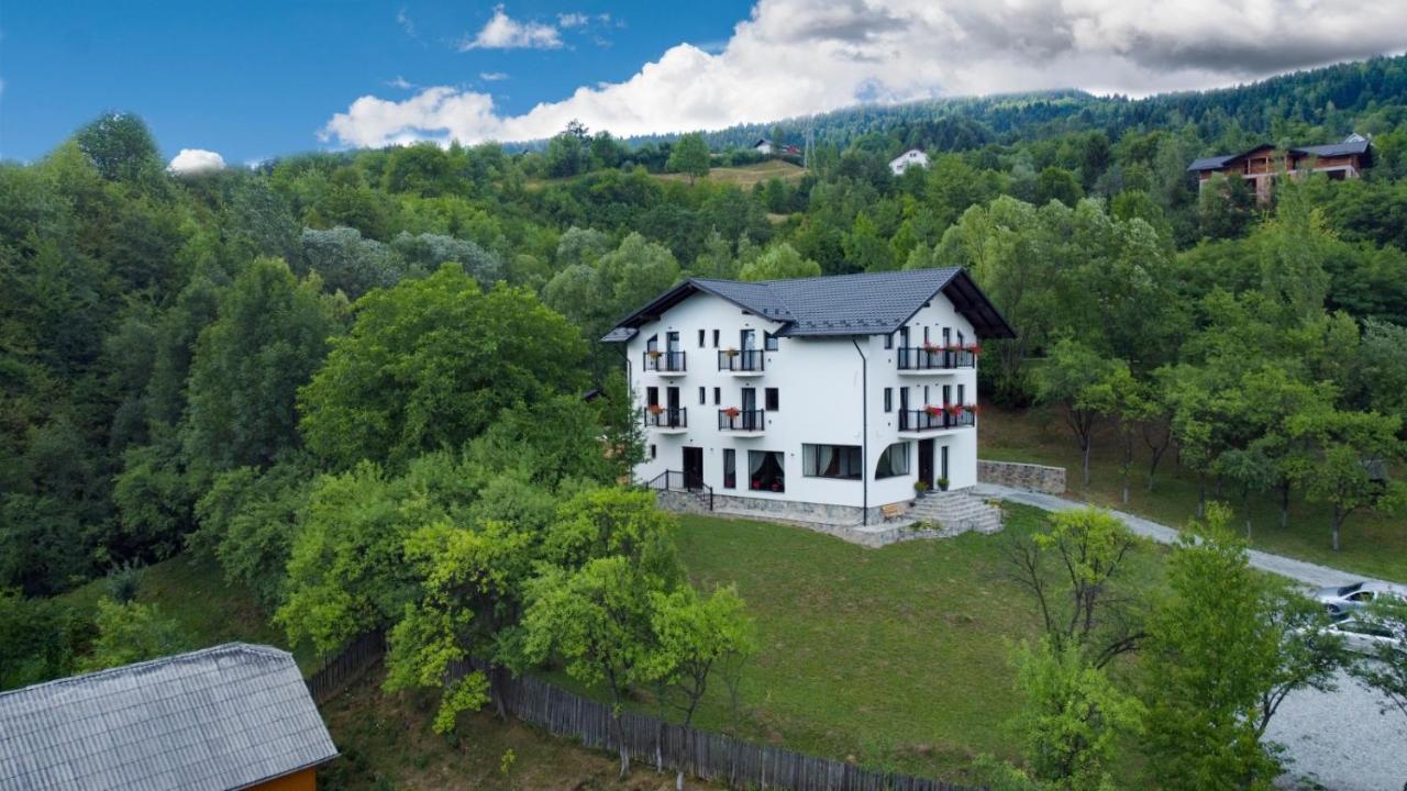 Linistea Codrului Hotel Borsa  Exterior photo